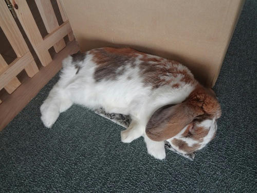 20121024_1.JPG