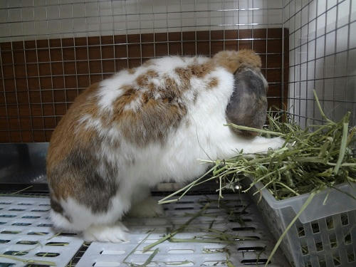 20130128_1.JPG