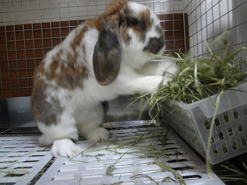 20130128_2.JPG