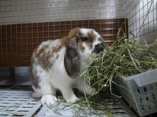 20130128_3.JPG