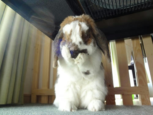 20130512_3.JPG