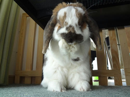 20130512_6.JPG