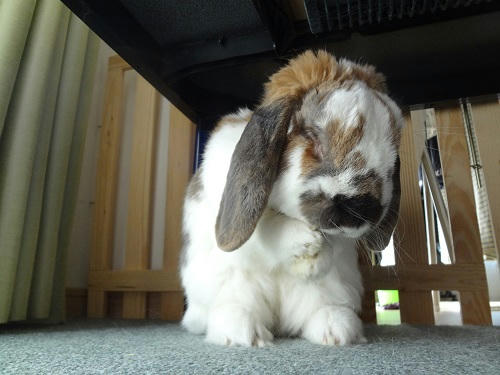 20130512_9.JPG