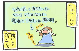 20100805-3.png
