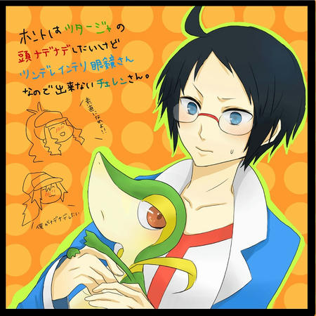 ヨーテリー ヨーテリー ぼくの ヨーテリー ゴー ポケモンbw プレイ日記