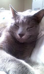 090202_102945.JPG