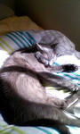 090305_115936.JPG