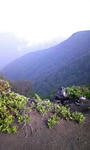 090614_062954.JPG