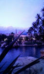 091114_164545.JPG