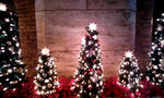 091114_160858.JPG