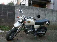 ape01