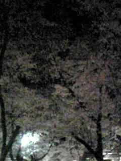 20070409.jpg