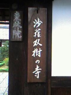 20080125.jpg