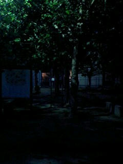 20080504-005.jpg