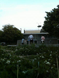 20080507.jpg