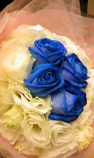 20081112-002.jpg