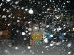 DSC00828.jpg