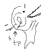 ソレガシ