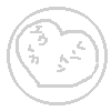 ハート