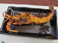 IMG_0762.JPG