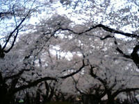 100403_1239~0001.jpg