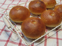 17cf9f08.JPG