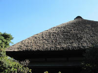 d803ae4f.JPG