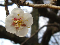 f0b467b6.JPG