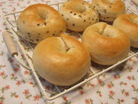 9db094f8.JPG