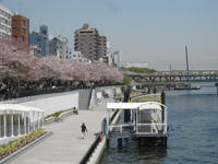 ef7462d7.JPG