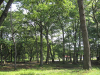 4ec772c4.JPG