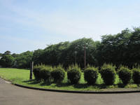 99c92a8d.JPG