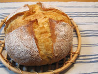 d793e3e9.JPG