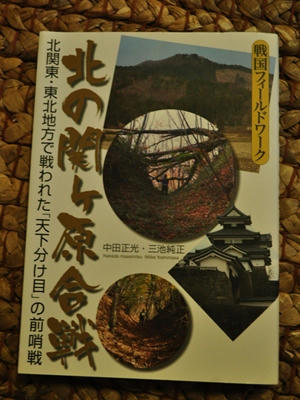 kitanosekigahara.JPG