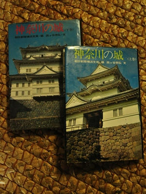 kanagawanosiro.JPG