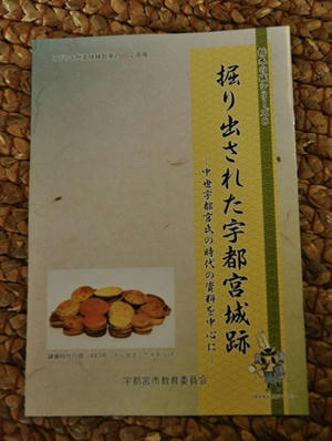 totigisiro8utunomiya.JPG