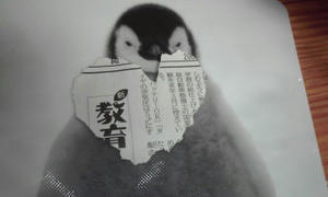100404_2111_01.jpg