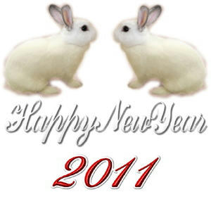 2011-nenga1.jpg