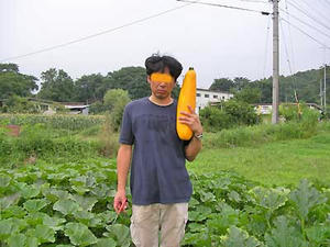 yasai4.jpg