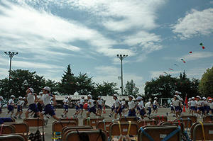 1005_1.jpg