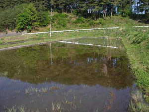 afe67f20.jpg