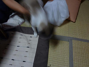0807_2.jpg