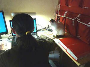 1202-4.jpg