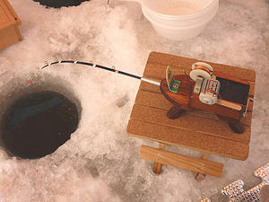 20110208-8.jpg