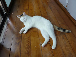 0624-5.jpg