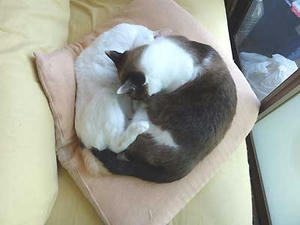 0803-3.jpg