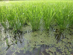 0803-5.jpg