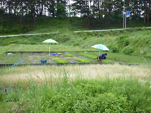 P1030488.jpg