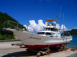 pira01.jpg
