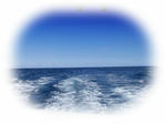 783d175d.jpg